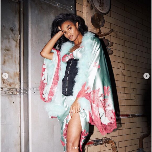 Agent Provocateur Cadance Black Corset Waspie AP2 Small NWT $675 - Picture 6 of 10